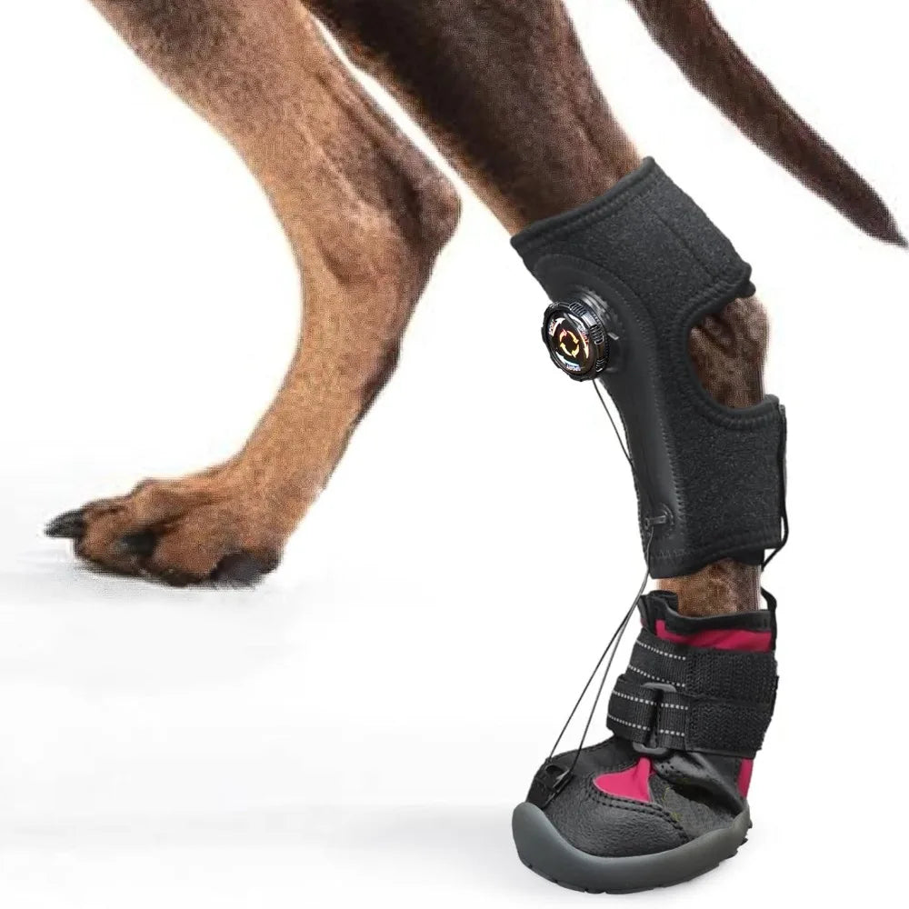 Bottes Protectrices pour Chiens – Confort, Soutien & Anti-Glisse
