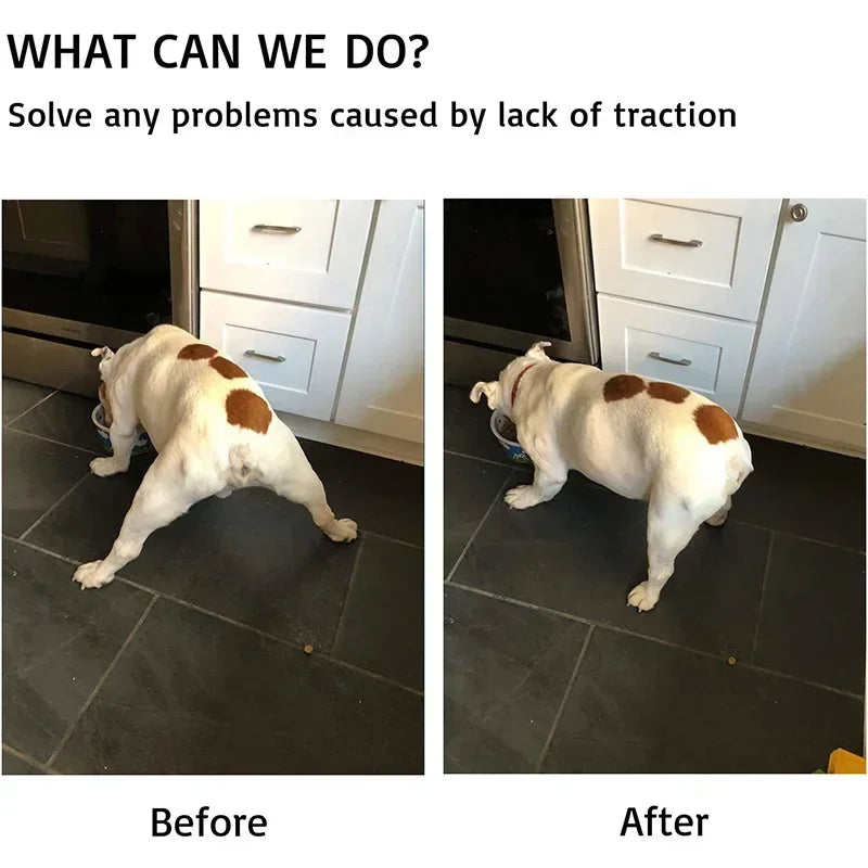 Chaussettes Antidérapantes pour Chien – Protection des Pattes au Quotidien