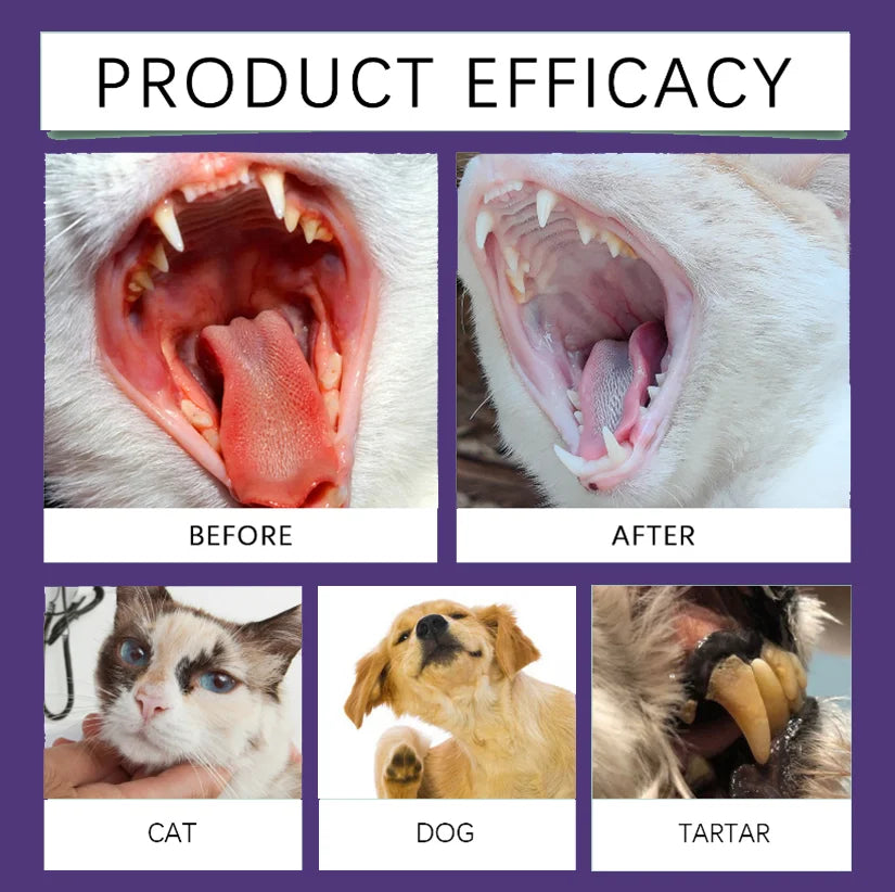Spray nettoyant pour l'hygiène buccale des animaux de compagnie, 30ml, élimine le tartre, la plaque et les bactéries, rafraîchit l'haleine, stérilisation douce pour chien et chat, usage quotidien