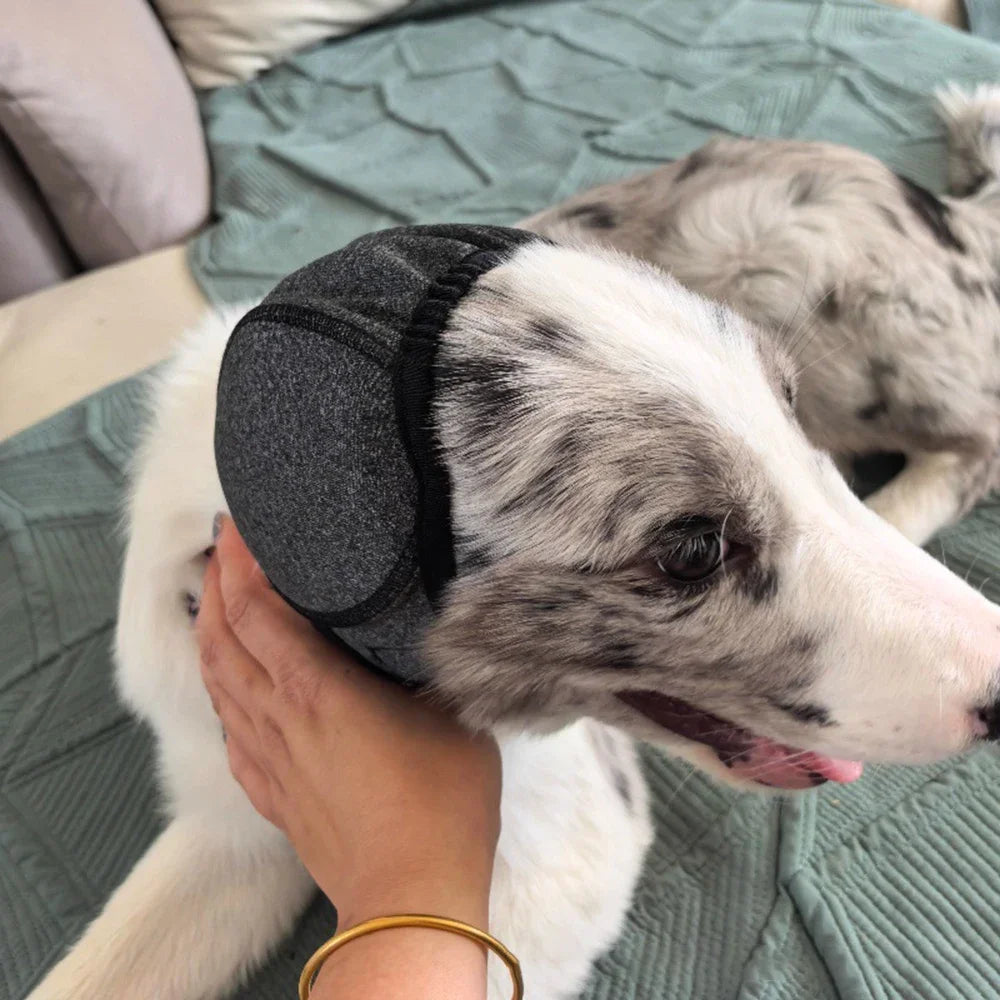 Réduction du bruit pour chien, isolation phonique, protège-oreilles, couvre-tête imperméable pour la natation, couvre-tête apaisant émotionnellement pour chien