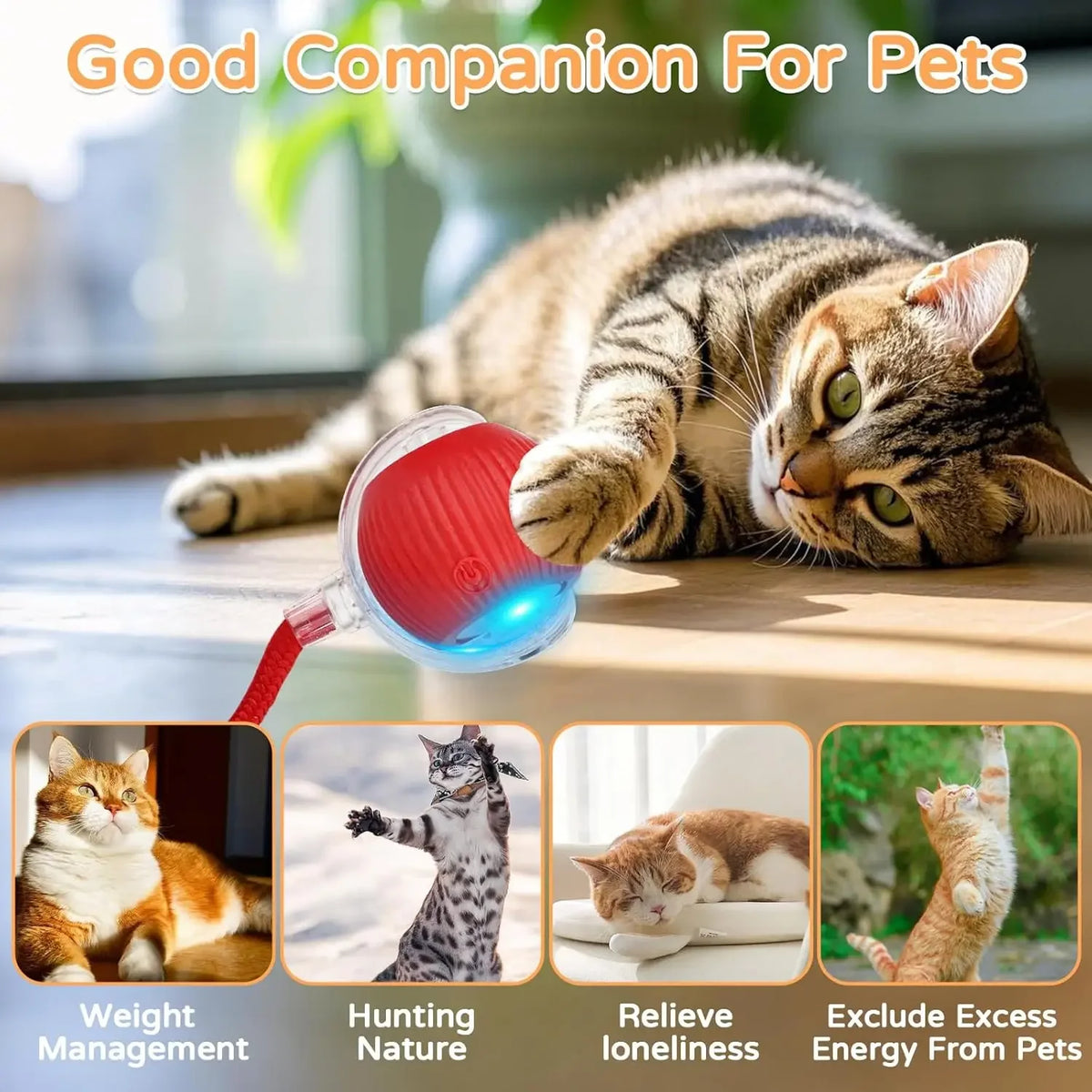 Balle Interactive Intelligente pour Chat – Roulement Automatique et Sons d'Oiseau