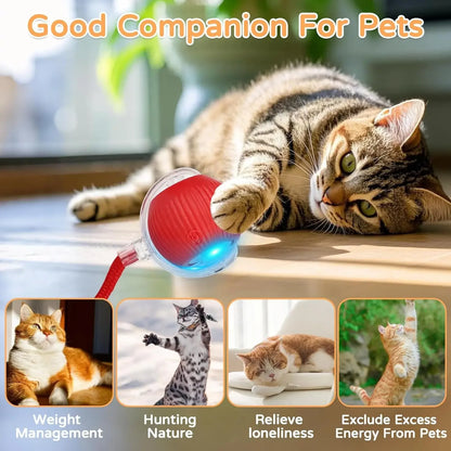 Balle Interactive Intelligente pour Chat – Roulement Automatique et Sons d'Oiseau