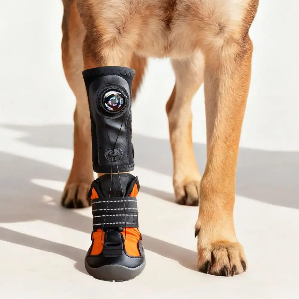 Bottes Protectrices pour Chiens – Confort, Soutien &amp; Anti-Glisse