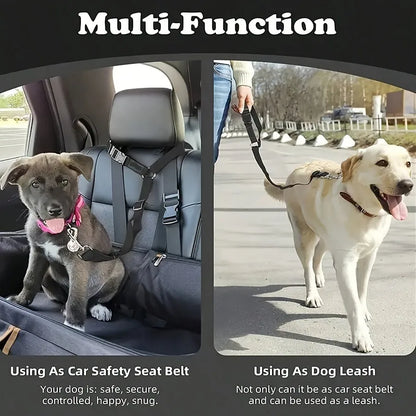 Ceinture de Sécurité pour Chien en Voiture – Trajets Sûrs et Sereins