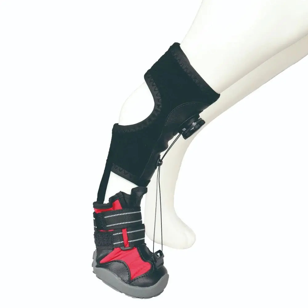 Bottes Protectrices pour Chiens – Confort, Soutien &amp; Anti-Glisse