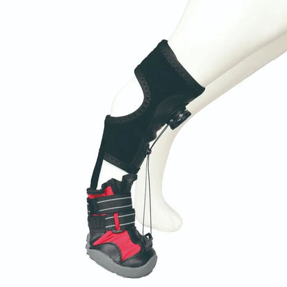 Bottes Protectrices pour Chiens – Confort, Soutien &amp; Anti-Glisse