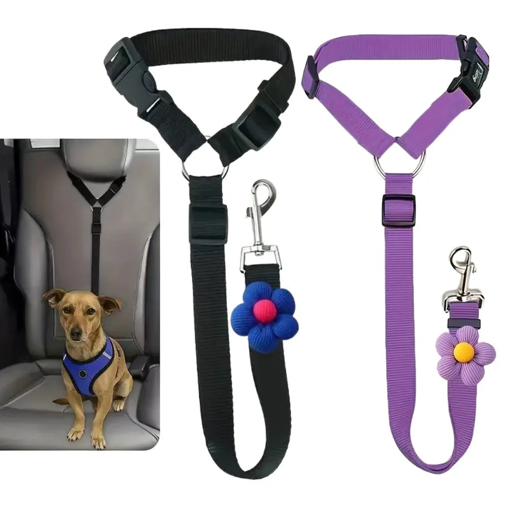 Ceinture de Sécurité pour Chien en Voiture – Trajets Sûrs et Sereins