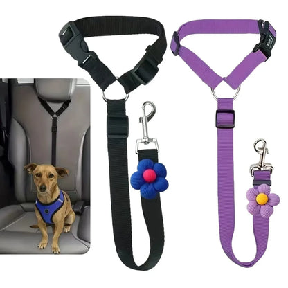Ceinture de Sécurité pour Chien en Voiture – Trajets Sûrs et Sereins