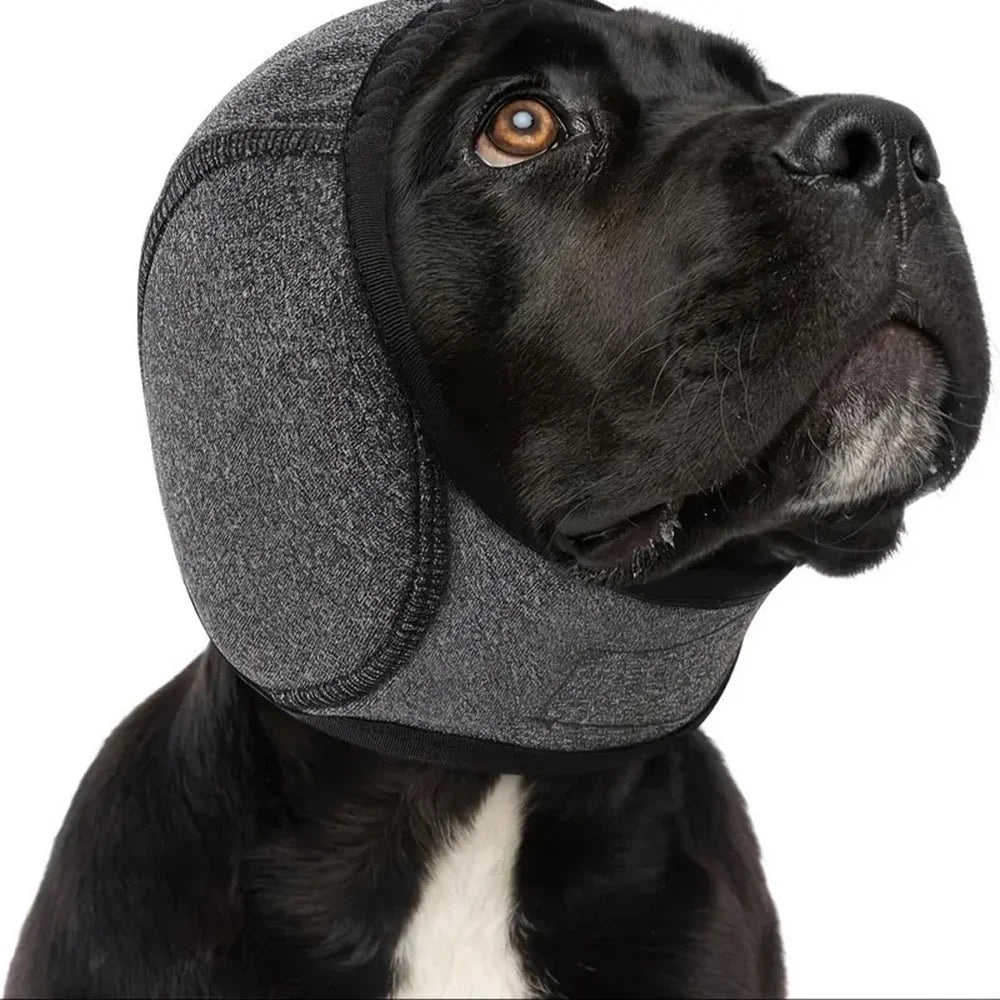 Réduction du bruit pour chien, isolation phonique, protège-oreilles, couvre-tête imperméable pour la natation, couvre-tête apaisant émotionnellement pour chien