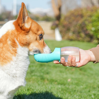 Bouteille d'eau pour chien de compagnie, 300ML, bols à boire pour chiots, petits et moyens chiens, chats, randonnée, mangeoire Portable pour chat, fournitures Golden Retriever