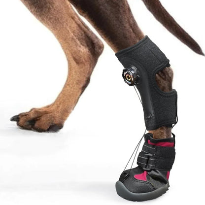 Bottes Protectrices pour Chiens – Confort, Soutien &amp; Anti-Glisse