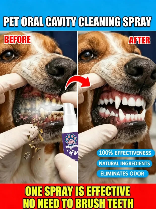 Spray nettoyant pour l'hygiène buccale des animaux de compagnie, 30ml, élimine le tartre, la plaque et les bactéries, rafraîchit l'haleine, stérilisation douce pour chien et chat, usage quotidien