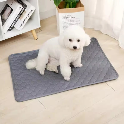 Tapis Anti-Urine Lavable pour Chien – Réutilisable, Absorbant et Imperméable