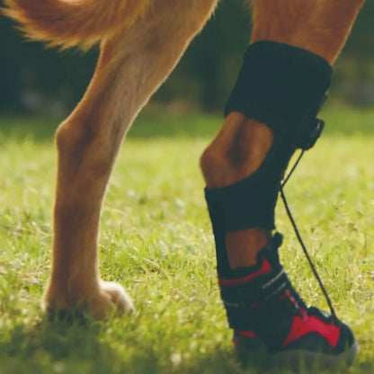 Bottes Protectrices pour Chiens – Confort, Soutien &amp; Anti-Glisse