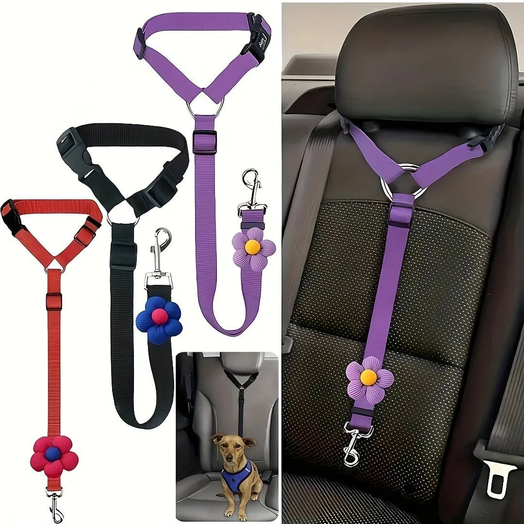 Ceinture de Sécurité pour Chien en Voiture – Trajets Sûrs et Sereins