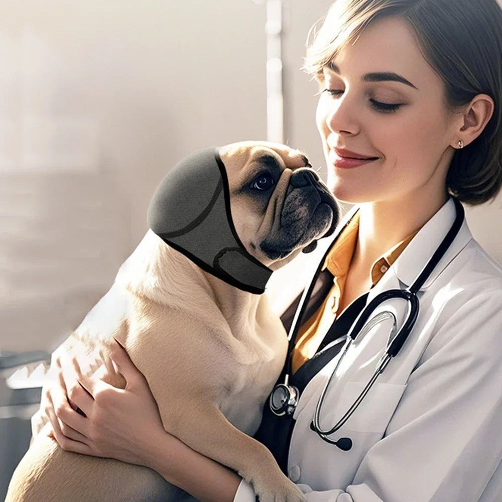 Réduction du bruit pour chien, isolation phonique, protège-oreilles, couvre-tête imperméable pour la natation, couvre-tête apaisant émotionnellement pour chien