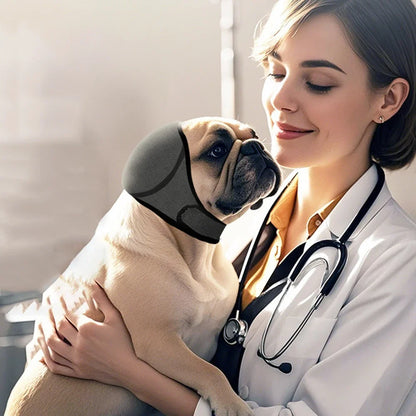 Réduction du bruit pour chien, isolation phonique, protège-oreilles, couvre-tête imperméable pour la natation, couvre-tête apaisant émotionnellement pour chien