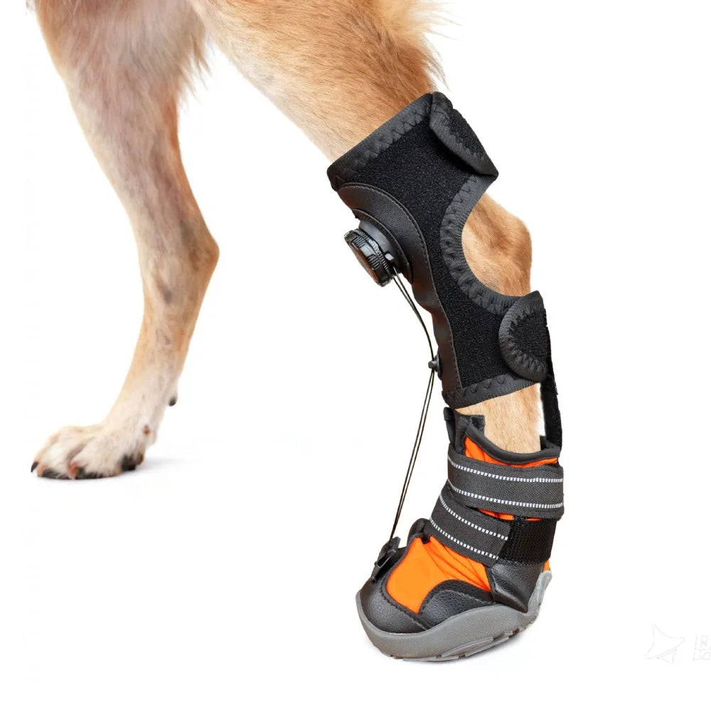 Bottes Protectrices pour Chiens – Confort, Soutien &amp; Anti-Glisse