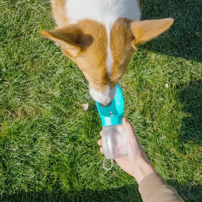 Bouteille d'eau pour chien de compagnie, 300ML, bols à boire pour chiots, petits et moyens chiens, chats, randonnée, mangeoire Portable pour chat, fournitures Golden Retriever
